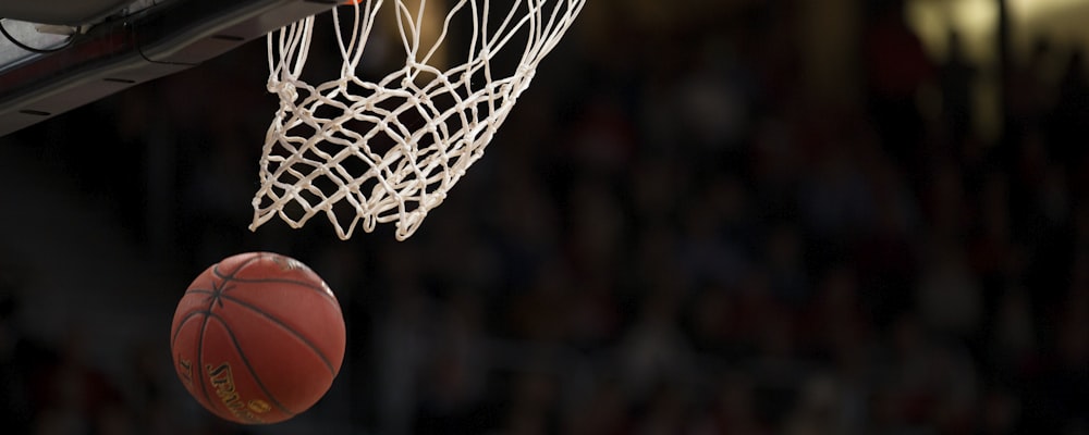 芝加哥公牛队标志性的红色牛头队徽特写